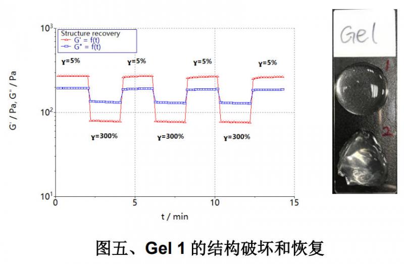 凝胶的两个状态.jpg